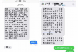 沙河沙河的要账公司在催收过程中的策略和技巧有哪些？